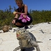 iguana_cuban_jar_v_1723_cub3667.jpg